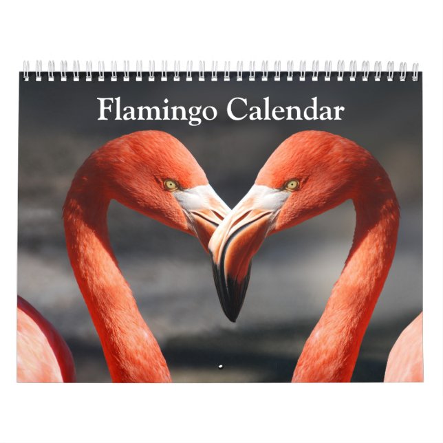 Calendário 2017 do flamingo (Capa)