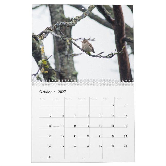 Calendário 2017 pela arrecadação de Barbara (Out 2027)