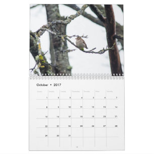 Calendário 2017 pela arrecadação de Barbara