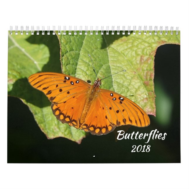 Calendário 2018 da borboleta (Capa)