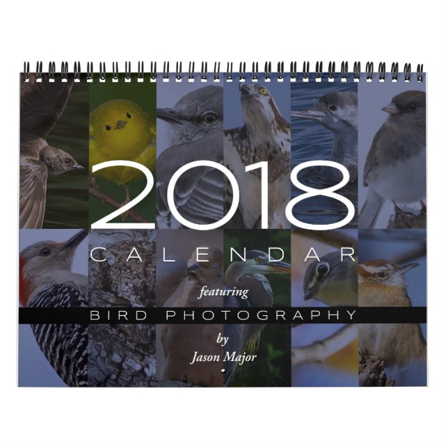 Calendário 2018 da fotografia do pássaro (Capa)
