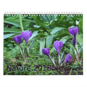 Calendário 2018 da natureza