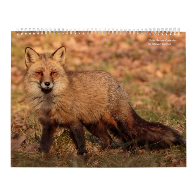 Calendário 2018 da natureza (Capa)