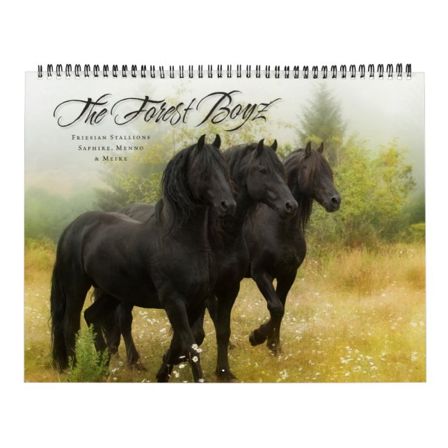 Calendário 2018 de Boyz da floresta (Capa)