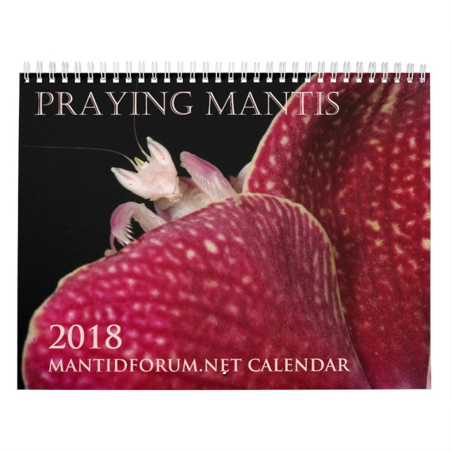 calendário 2018 de parede de Mantidforum.net (Capa)