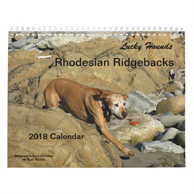 Calendário 2018 de Rhodesian Ridgeback (Capa)