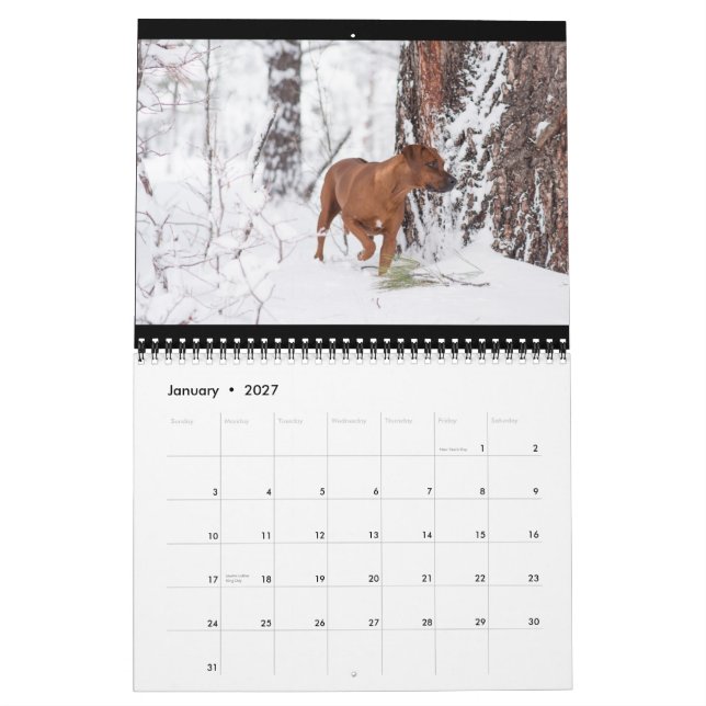 Calendário 2018 de Rhodesian Ridgeback (Jan 2027)