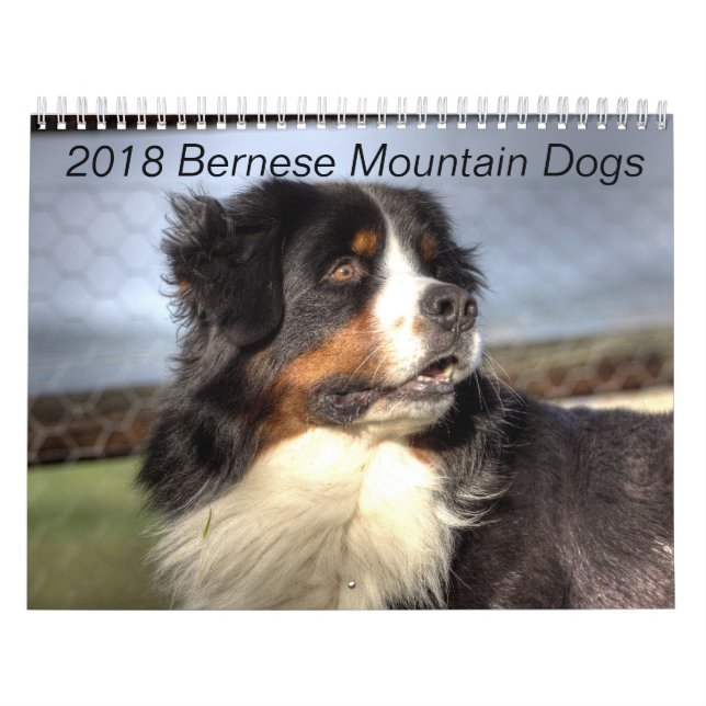 Calendário 2018 do cão de montanha de Bernese (Capa)