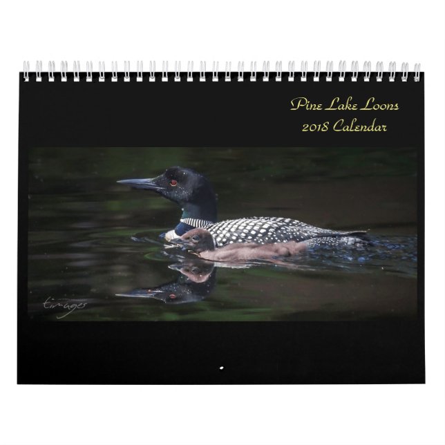 Calendário 2018 do mergulhão-do-norte do lago pine (Capa)