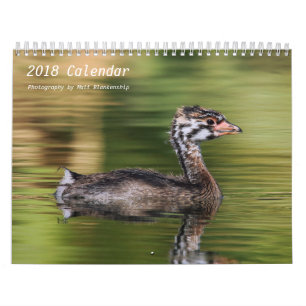 Calendário - 2018 - meio b