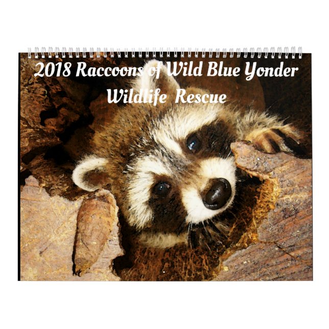 Calendário 2018 Raccoons of Wild Blue Yonder Wildlife Rescue (Capa)