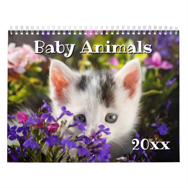Calendário 2019 animais adoráveis do bebê (Capa)