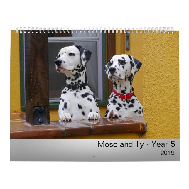 Calendário 2019 de Mose e de Ty (Capa)