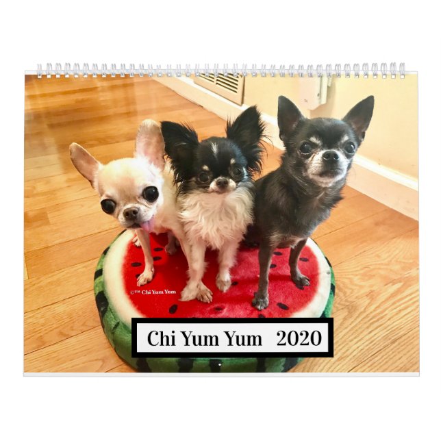 Calendário 2019 do qui Yum Yum (Capa)