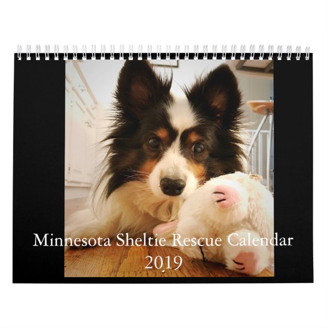 Calendário 2019 do salvamento de Minnesota Sheltie (Capa)