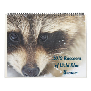 Calendário 2019 Raccoons of Wild Blue Yonder Wildlife Rescue