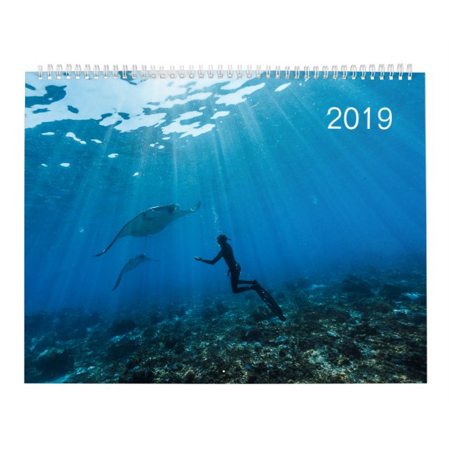 Calendário 2019 - sob a superfície do oceano (Capa)
