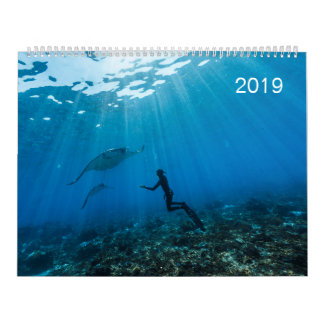 Calendário 2019 - sob a superfície do oceano