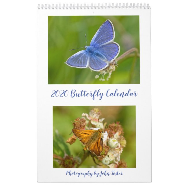 Calendário 2020 das Borboletas Britânicas (Capa)