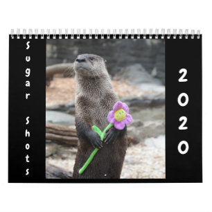 Calendário 2020 dos Sugar Shots