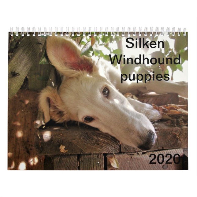 Calendário 2020 Filhotes de Silken Windhound (Capa)
