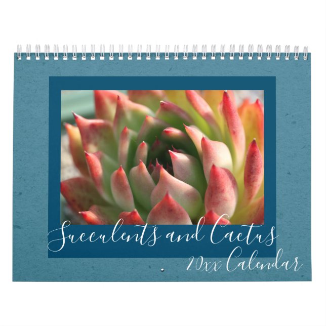 Calendário 2020 Modern Script Succulents and Cactus (Capa)