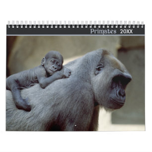 Calendário 2020 Primates Wildlife Photography Calendar