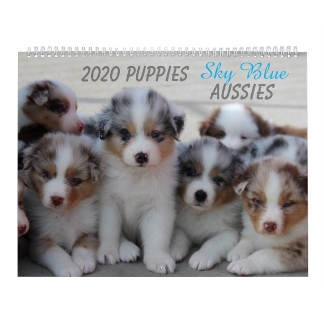 Calendário 2020 Sky Blue Aussies (Capa)