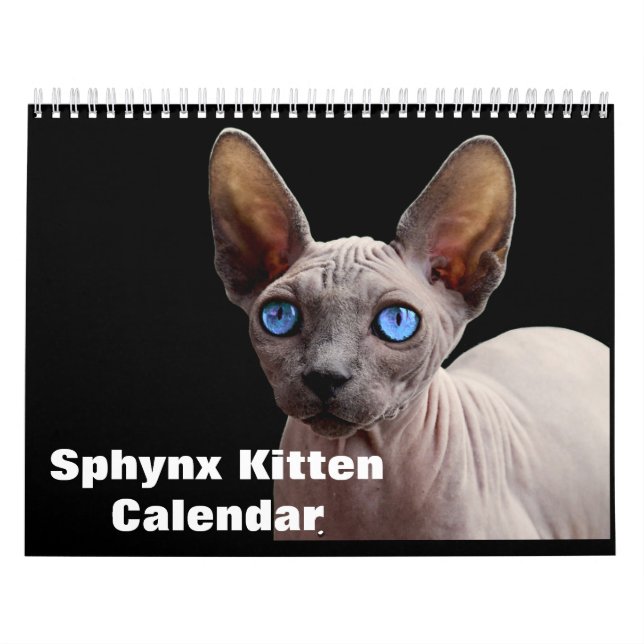 Calendário 2020 Sphynx Kitten (Capa)