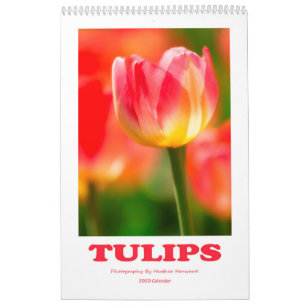 Calendário 2020 Tulips