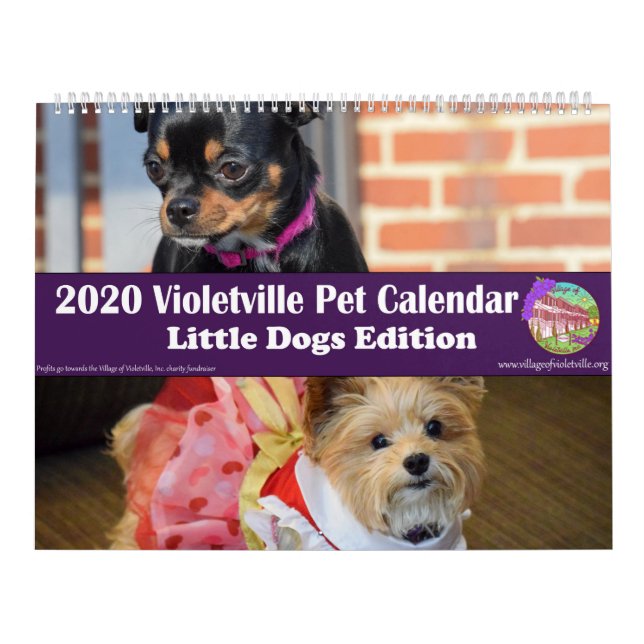 Calendário 2020 Violetville Pet Calendar ~ Small Dogs Edition (Capa)