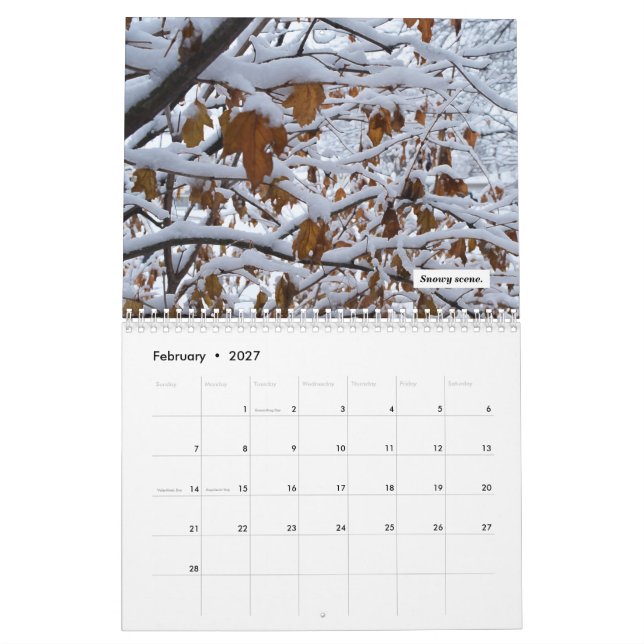 Calendário 2021 (Fev 2027)