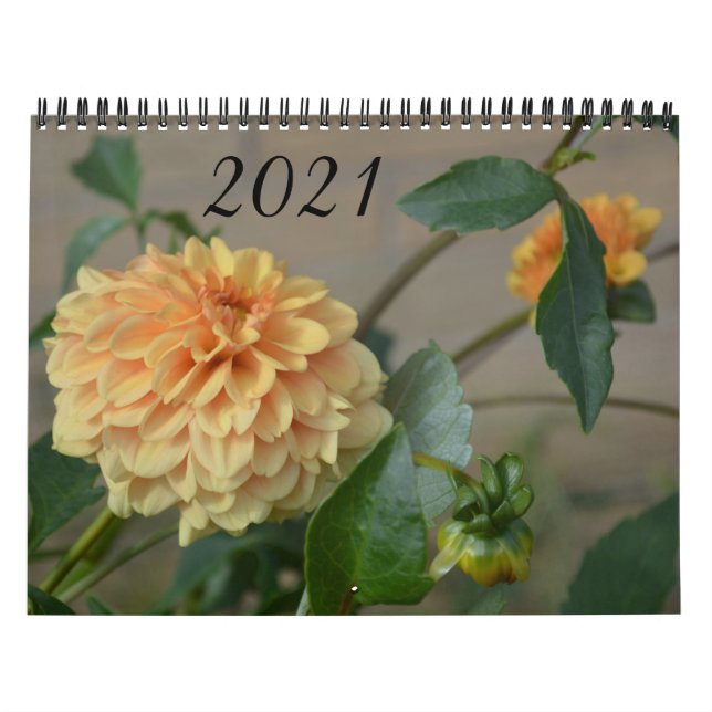 Calendário 2021 com 12 meses de dahlias (Capa)