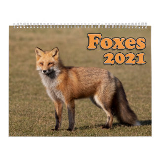 Calendário 2021 da Red Foxes