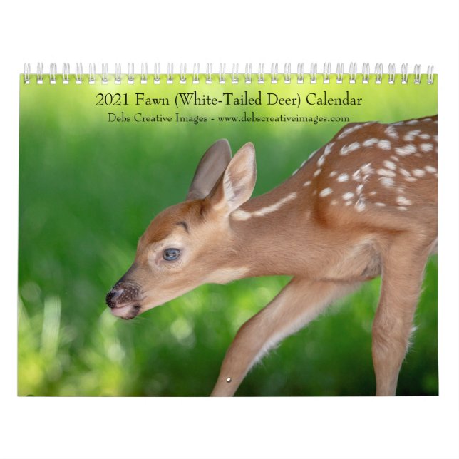 Calendário 2021 Fawn (cervo de cauda branca) (Capa)
