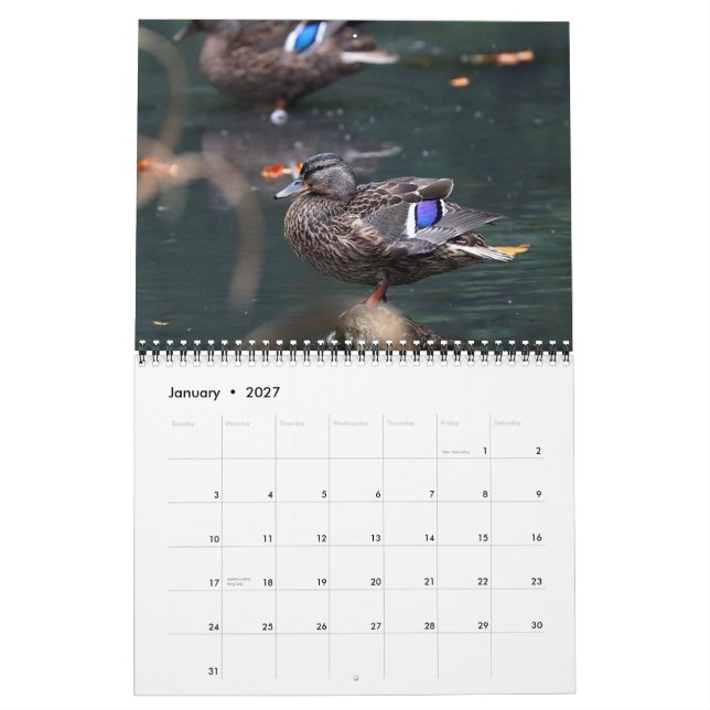 Calendário 2021 Mallards (Jan 2027)