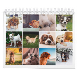 Calendário 2021 Puppy Dog Pet Photo