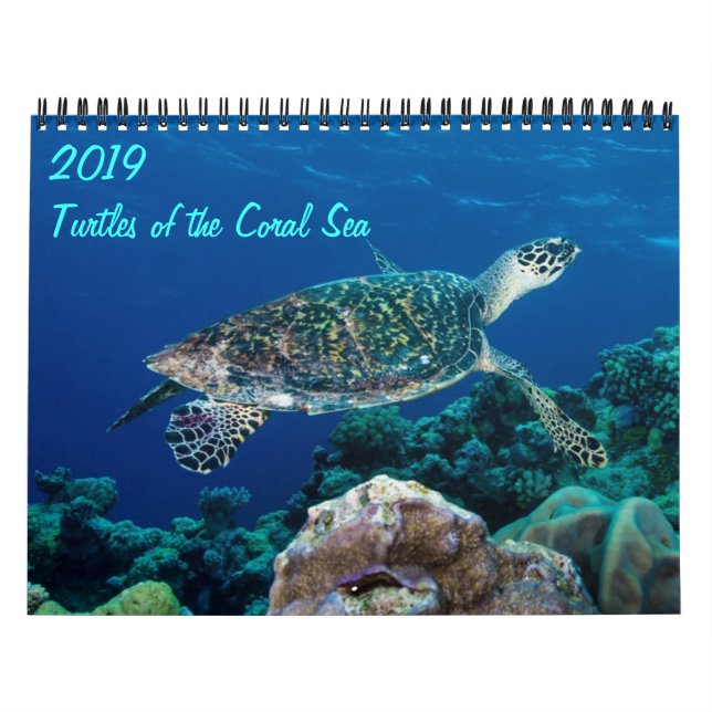 Calendário 2021 Tartarugas marinhas do Mar de Coral (Capa)