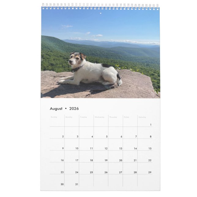 Calendário 2022 (Ago 2026)