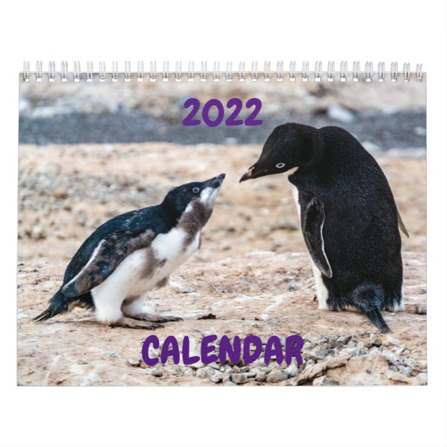 Calendário 2022 - Antártica (Capa)
