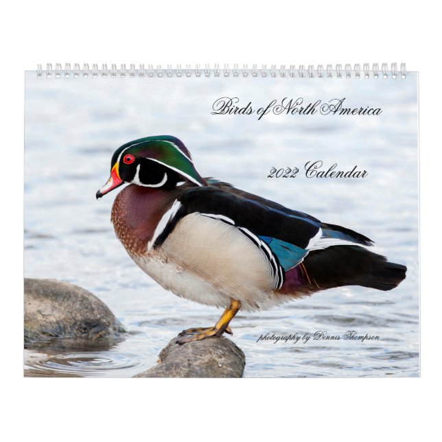 Calendário 2022 Birds of North America Calendar (Capa)