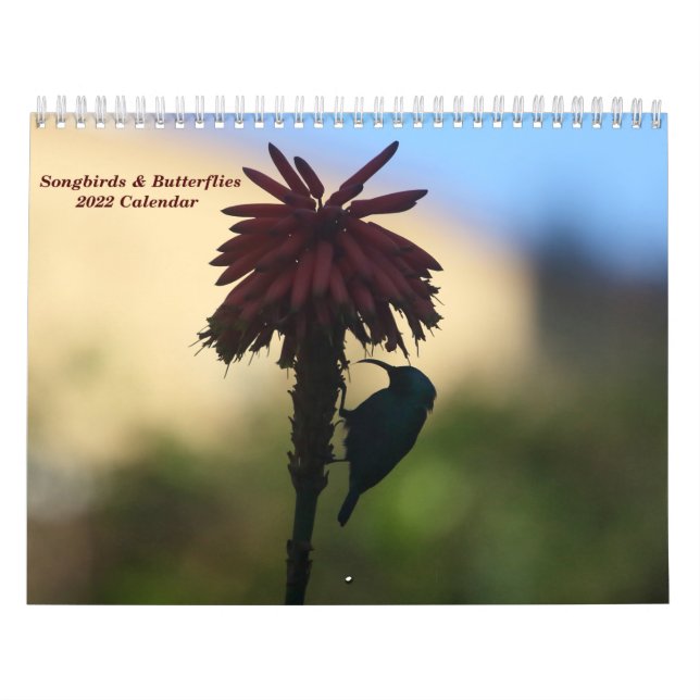 Calendário 2022 de Canaviais e Borboletas (Capa)