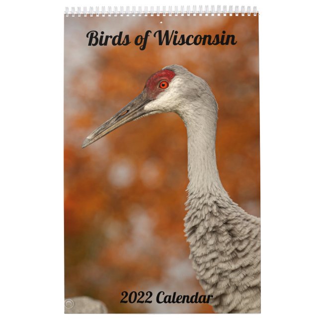 Calendário 2022 de Wisconsin Birds (Capa)