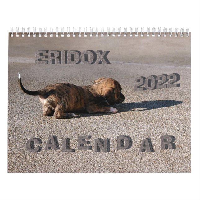 Calendário 2022 do Eridox Dachshances (Capa)