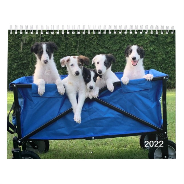 Calendário 2022 Silken Windhounds (Puppies) (Capa)
