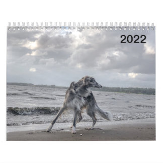Calendário 2022 Silken Windhounds (Vários Cães E Em Ação)