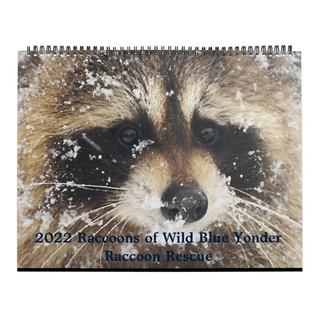 Calendário 2022  Wild Blue Yonder Raccoon Rescue   (Capa)