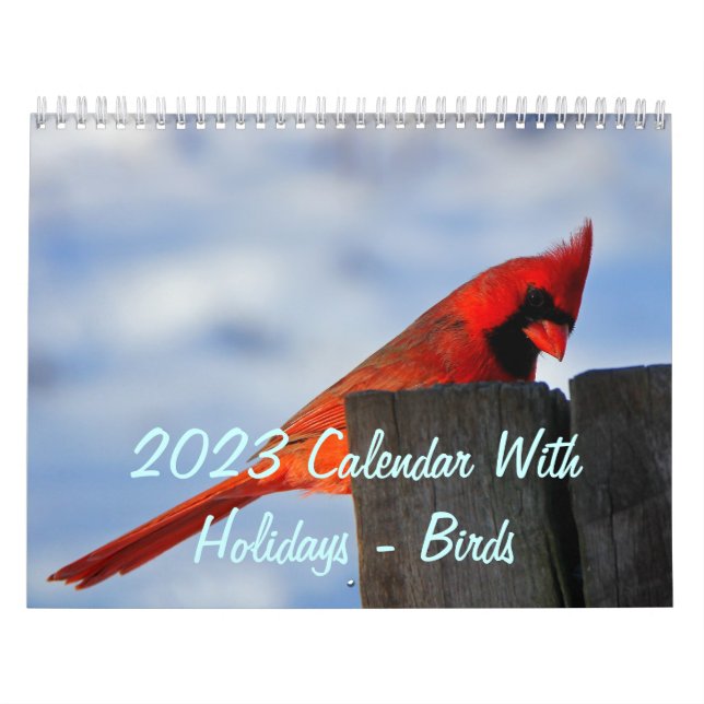 Calendário 2023 Com Feriados - Aves (Capa)