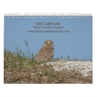 2023 Coruja