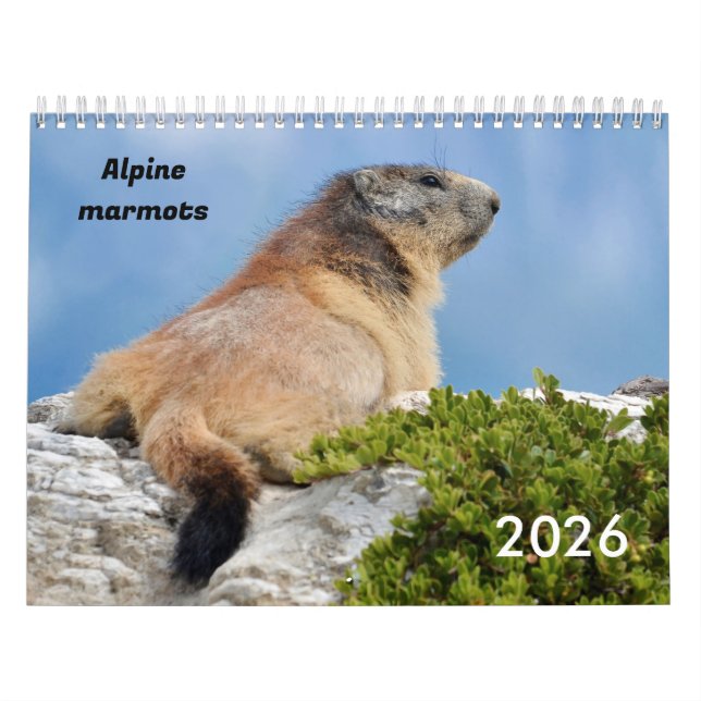 Calendário 2023 das marmotas alpinas (Capa)